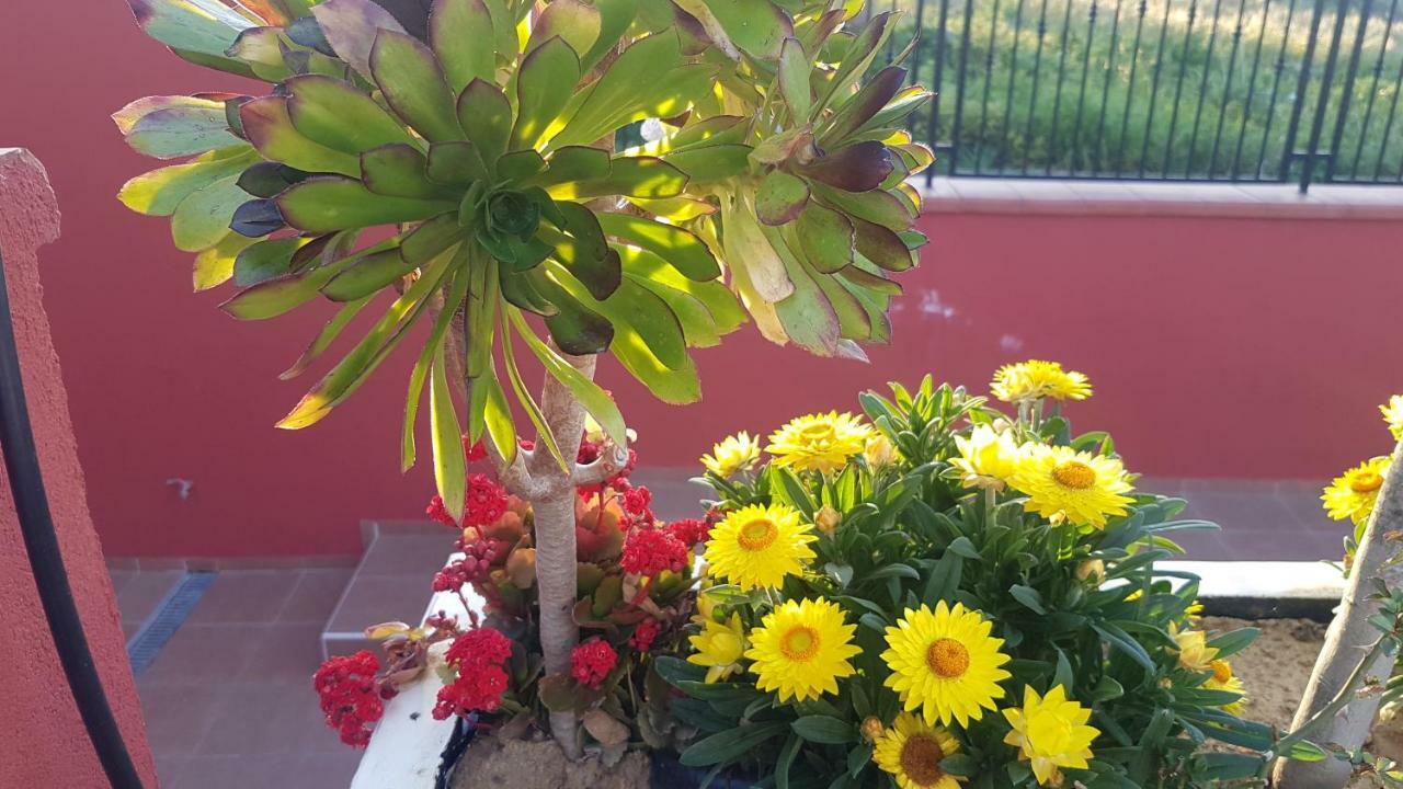 Lilium In B&B Джеля Екстериор снимка